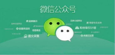 瀏陽(yáng)微信公眾號(hào)建設(shè)開發(fā) 優(yōu)質(zhì)內(nèi)容是核心引擎